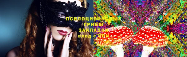 тгк Алексин