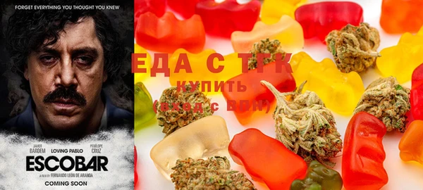 тгк Алексин