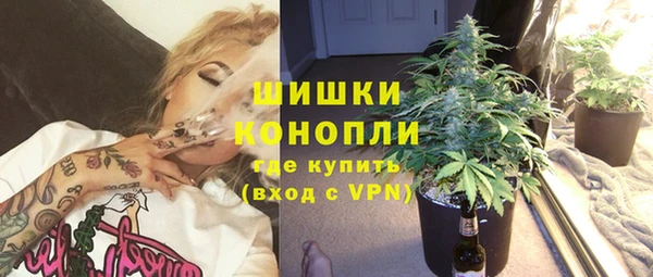 тгк Алексин