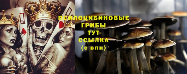 тгк Алексин