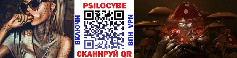 цена наркотик  Дно  Галлюциногенные грибы мицелий 